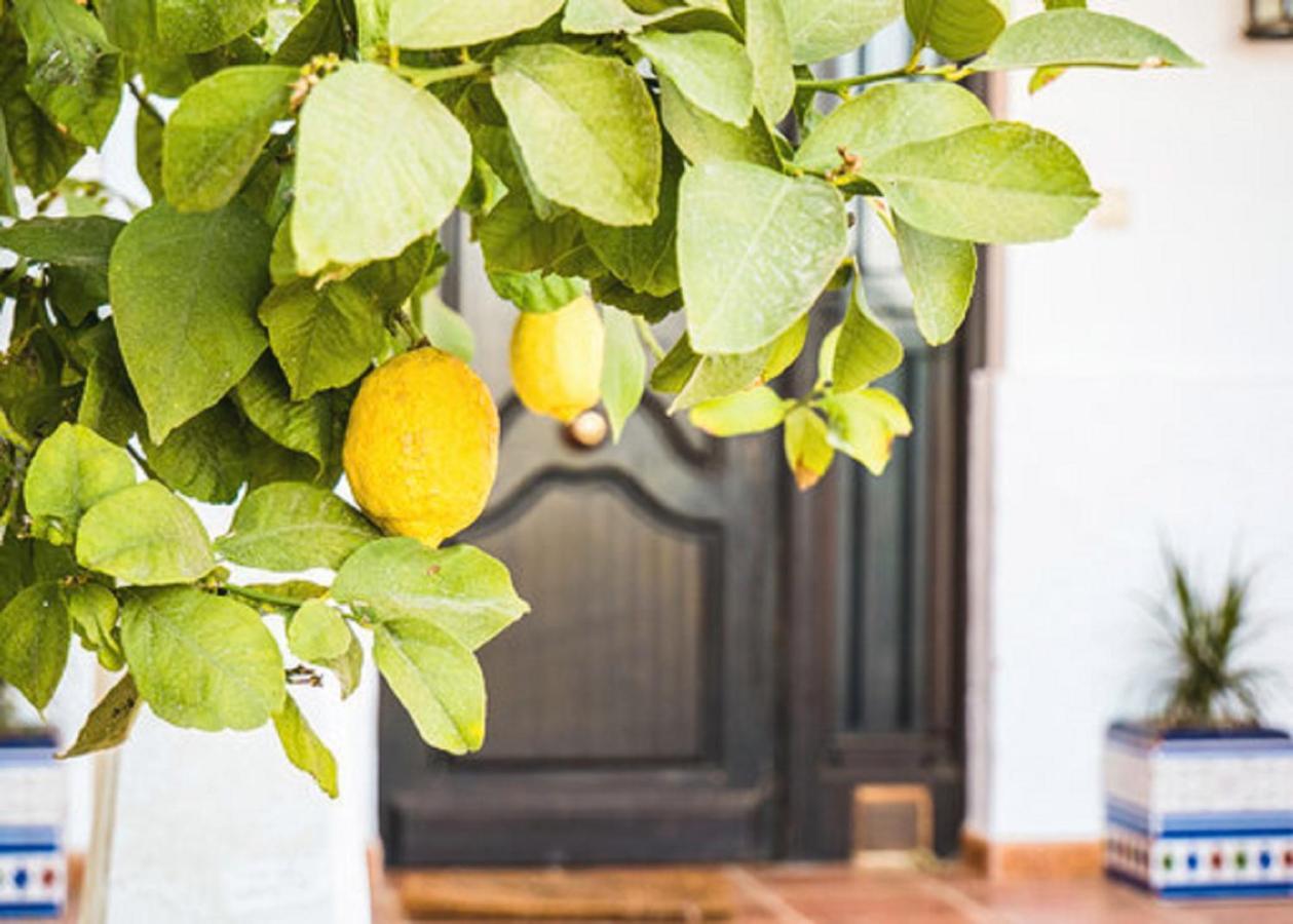 Private Villa Large Pool Elevated Quiet Secluded Location, Near Mojacar Antas Exterior foto